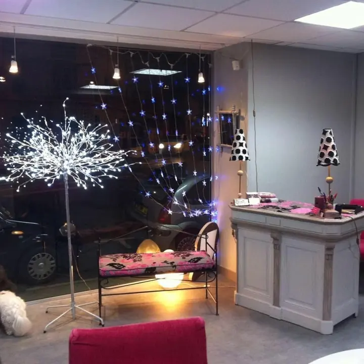 L'arbre lumineux du salon, le soir